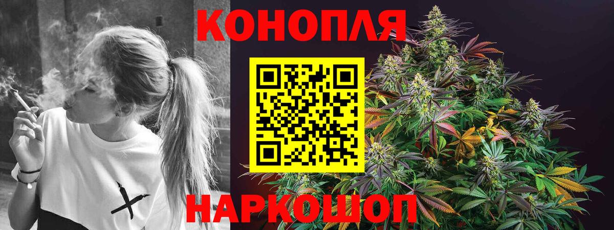 Канабис планчик Назрань